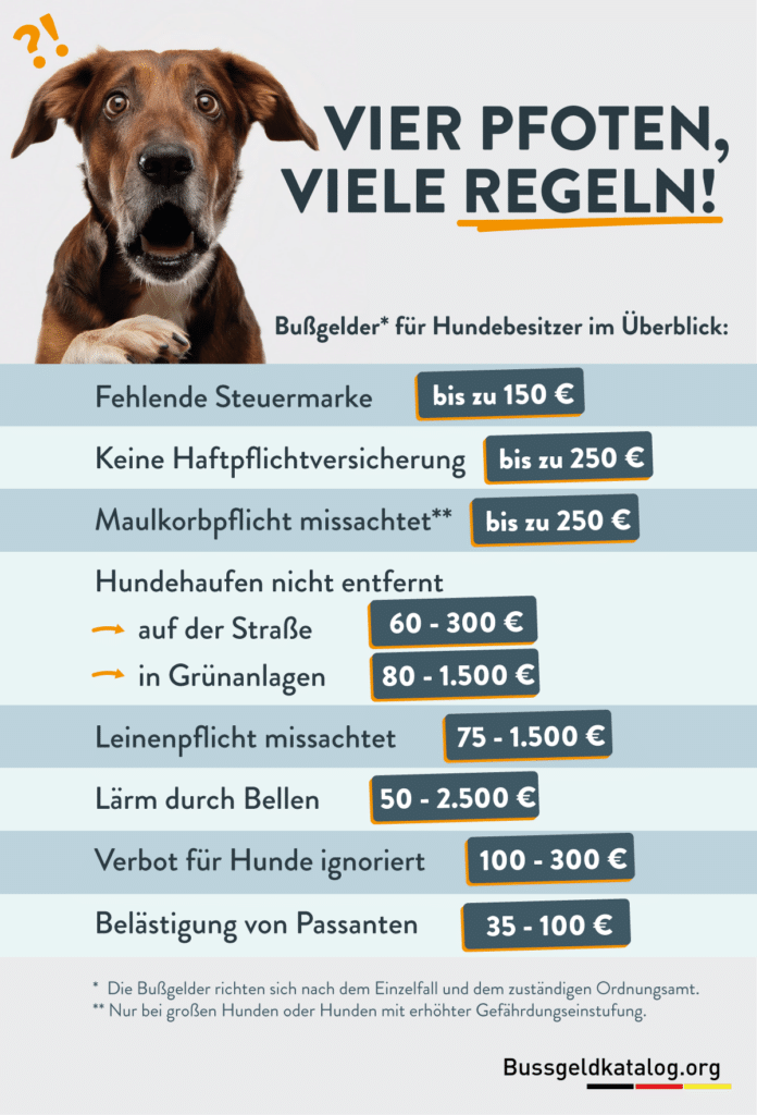 Diese Infografik zu missachteten Regeln für Hundebesitzer zeigt Ihnen, wie viel Bußgeld jeweils fällig werden kann.