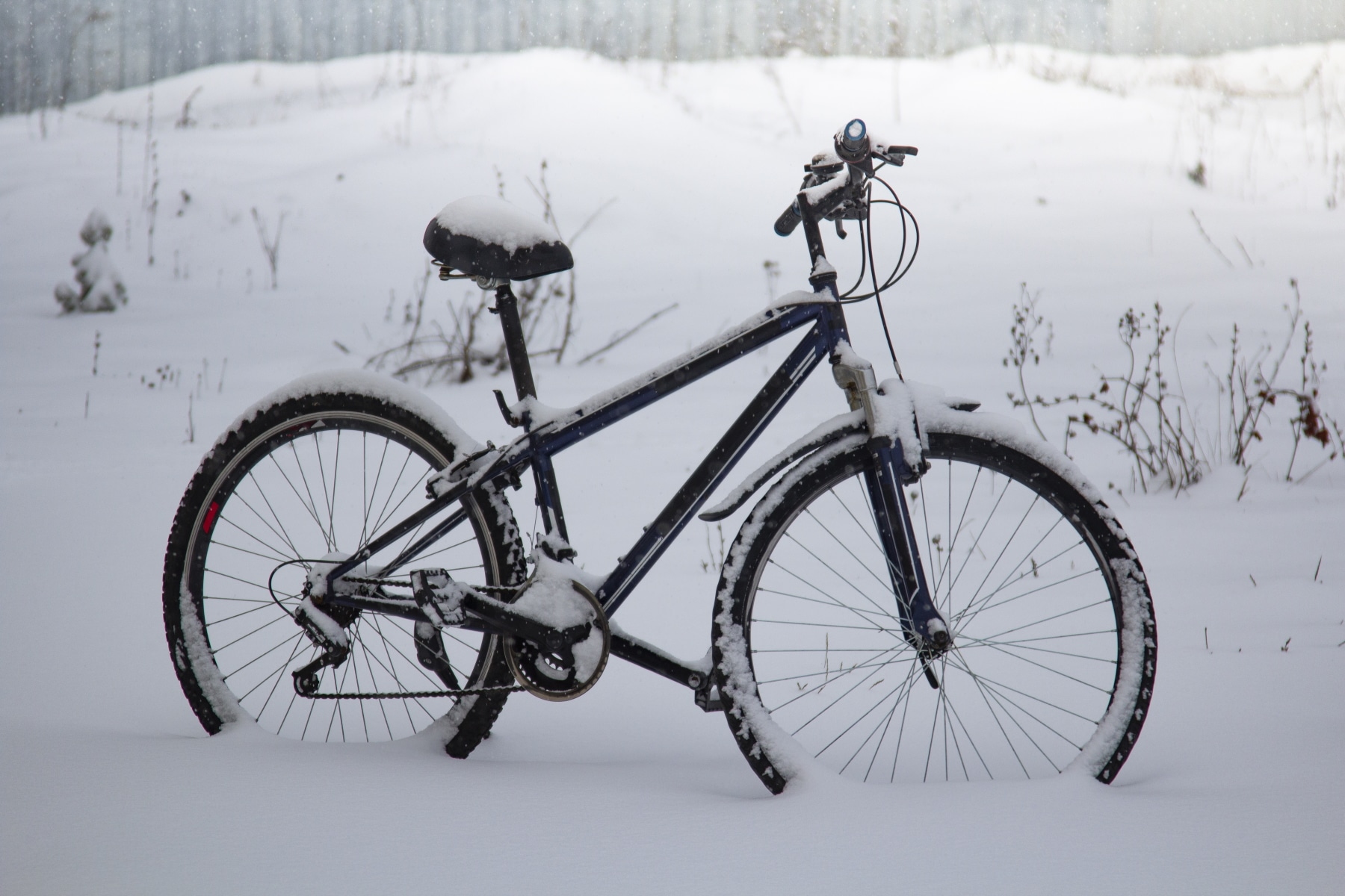 Biken im Winter: Der richtige Fahrradreifen für die kalte Jahreszeit