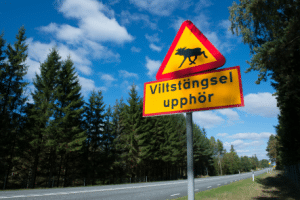 Verkehrsschilder warnen in Schweden nicht nur vor Elchen - das allerdings doch öfters.