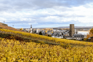 Kfz-Zulassungsstelle Rüdesheim: Ummeldung und Anmeldung zählen zu den angebotenen Dienstleistungen für Fahrzeuge.